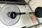 出售全新落地风扇