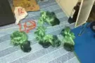 出售三层网