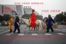 海运空运到新加坡，无论小件大件都可以