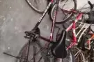 自行车