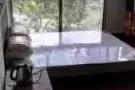 卡迪MRT orchid park condo 主人房，，主人房，普通房出租