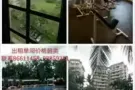 Orchid Park Condominium 胡姬园公寓 位于义顺普通房