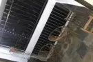 大牌680主人房750/月无屋主 可煮 水电 网 冷气 文礼地铁步行8分钟