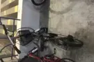 6-7成新女士折叠脚车