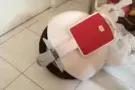 出售电动独轮车
