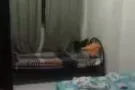 近三巴望财神庙 福田超市后面 两个人一间男搭房出租