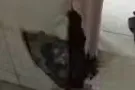 找有经验的装修师傅,修复厕所墙壁