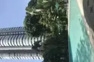中巴鲁舒适公寓，错层式客厅，超大普通房，工人房