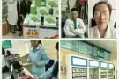 36味纯中药黄金视力眼贴，适合近视、老花、散光、弱视、白内障、眼底病变等各种眼疾