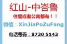新加坡全岛整套房出租（进地铁站）！！