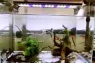 出售一整套观赏水晶鱼缸