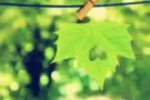 求租一间主人房