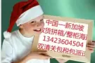 广州/深圳到新加坡海运到门一站式服务（接受中国单证报关，或新加坡单独清关）