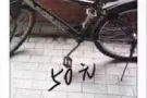 自行车...50元，波动巴西，麦博申