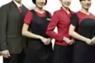 高级服装招募试穿业务员