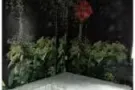 淡滨尼34街   地铁站 。单间出租