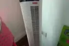 二手风扇，搬家低价处理，自取