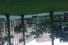 淡滨尼45街，497招男女搭房  四人间 靠近洛阳路，楼下有芭莎