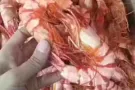 出售国内海鲜干货