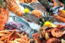 2天1夜巴淡岛城市游配套$27/成人起 SEAsiaTravels.com