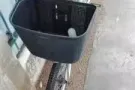 女士自行车