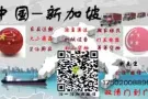 新加坡物流 空运海运双清到门 广州货运哪家专业