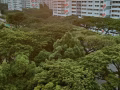 勿洛北路大牌115  4房式組屋出售
