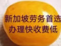 牛肉羊肉送活上門