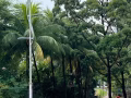 Sembawang MRT 普通房搭房 /客厅一人