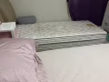 女搭房－ 床位出租