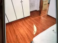 BLOCK 206 TOA PAYOH NORTH 310206