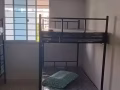 勿洛 $500 報地址