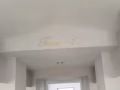 湖畔公寓 两人间 招一个男搭 制造业地址