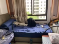 男床位