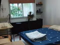 榜鹅大牌175D主人房出租. $1300元 (Non Aircon), $1400 (Aircon)