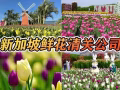 新加坡樟宜机场鲜花空运清关,云南、荷兰鲜花进口新加坡报关流程