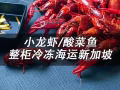 小龙虾/酸菜鱼从中国冷冻海运到新加坡包清关包送货