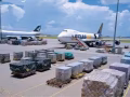 中国🇨🇳至新马泰专线海运空运冷链运输