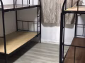 麥波申循環路招男搭房