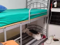 可提高500%的瀏覽量。 大巴窯祖屋大牌195, 包水電網，報服務業本屋地址