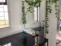 可报制造业本屋地址