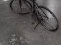 死飞自行车一辆50