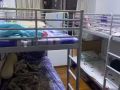 本人屋主在Bedok reservoir road 有公寓男床位出租