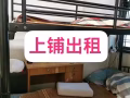 隨時入住，兀蘭海軍部大牌714普通房招一位男搭房