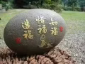 文礼大牌273B招男搭房 97393451 叶小姐