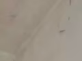 专业油漆，价格便宜，多项选择