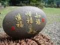 文禮大牌273B招男搭房 報本屋地址 97393451葉小姐
