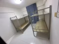 淡滨尼大牌477 ，新房，男搭房，可报地址