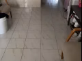 湖畔男搭房出租