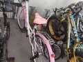 全新脚踏车